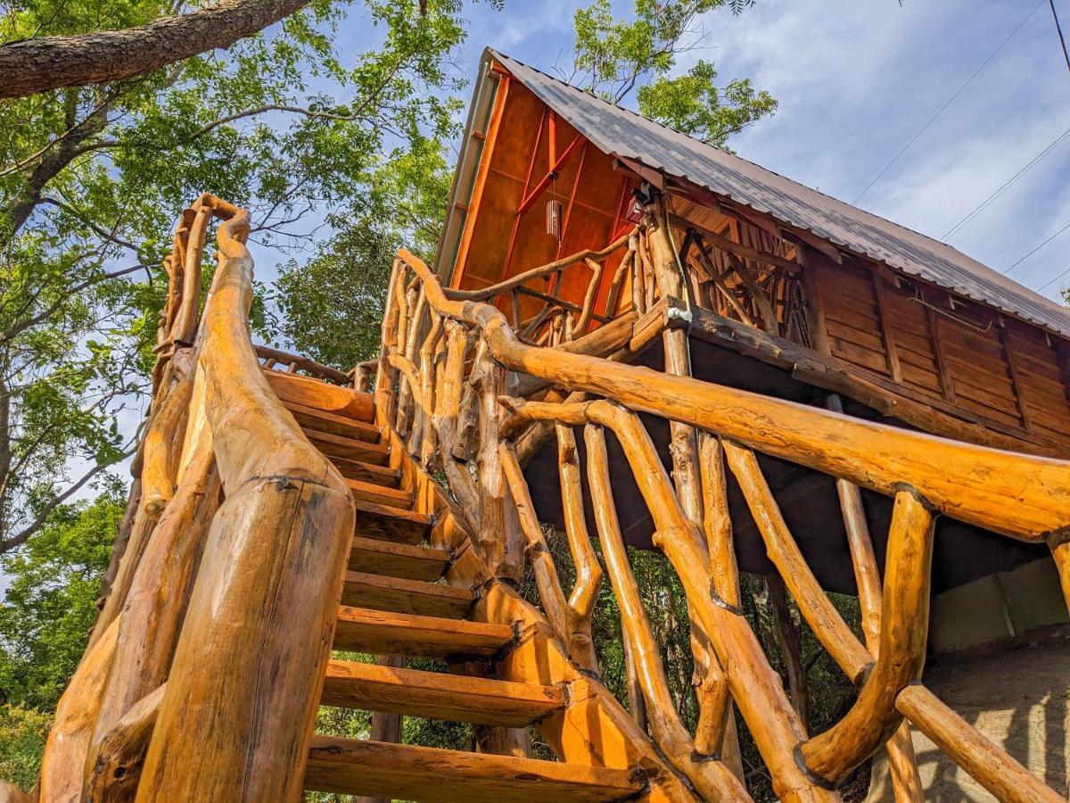 Wooden Cabana Sigiriya Eksteriør billede
